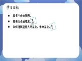 8.2敬畏生命 道德與法治七年級上冊同步課件（ 人教版2024）