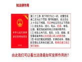 5.1 法不可违 课件-2024-2025学年统编版道德与法治 八年级上册