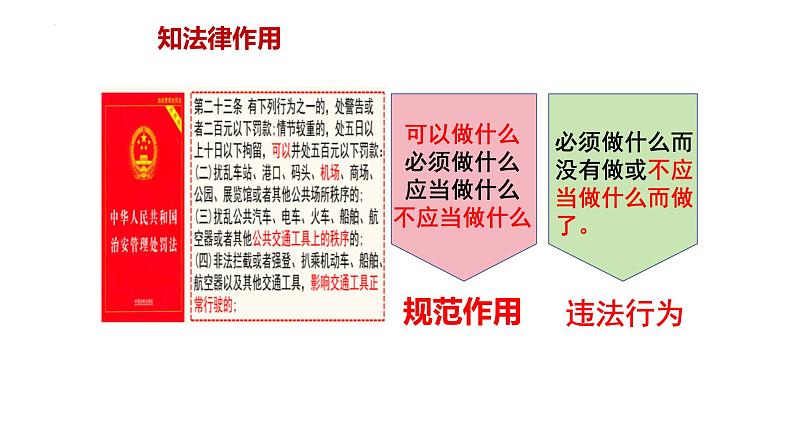 5.1 法不可违 课件-2024-2025学年统编版道德与法治 八年级上册第5页