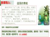 2.1 认识自己 课件- -2024-2025学年七年级道德与法治上册( 统编版2024)