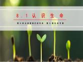 8.1 認識生命課件-2024-2025學(xué)年統(tǒng)編版道德與法治七年級上冊