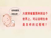 8.1 認識生命課件-2024-2025學(xué)年統(tǒng)編版道德與法治七年級上冊