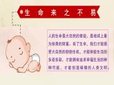 8.1 認識生命課件-2024-2025學(xué)年統(tǒng)編版道德與法治七年級上冊