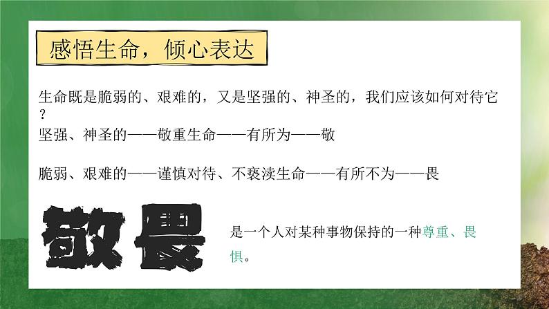 8.2 敬畏生命课件-2024-2025学年统编版道德与法治七年级上册第8页