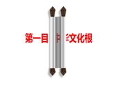 5.1 延续文化血脉同步课件-2024-2025学年统编版道德与法治九年级上册
