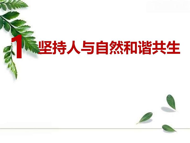 6.2 共筑生命家园 同步课件-2024-2025学年统编版道德与法治九年级上册第2页