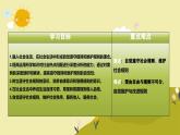 3.2 遵守规则 同步课件-2024-2025学年统编版道德与法治八年级上册