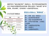 4.3诚实守信  课件-2024-2025学年统编版道德与法治八年级上册