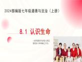 8.1认识生命  教学课件- 2024-2025学年统编版道德与法治七年级上册