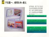 8.1认识生命  教学课件- 2024-2025学年统编版道德与法治七年级上册