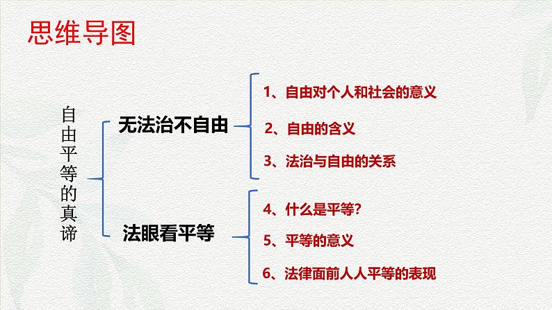 7.1自由平等的真谛(课件＋视频）-八年级道德与法治下册（统编版）03