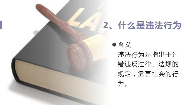 部编版道德与法治八年级上册5.1法不可违课件第5页