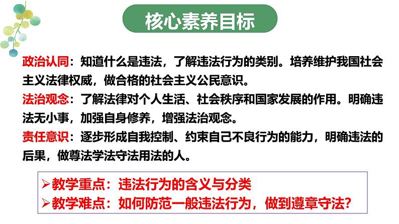 5.1 法不可违 课件-2024-2025学年统编版道德与法治 八年级上册第3页