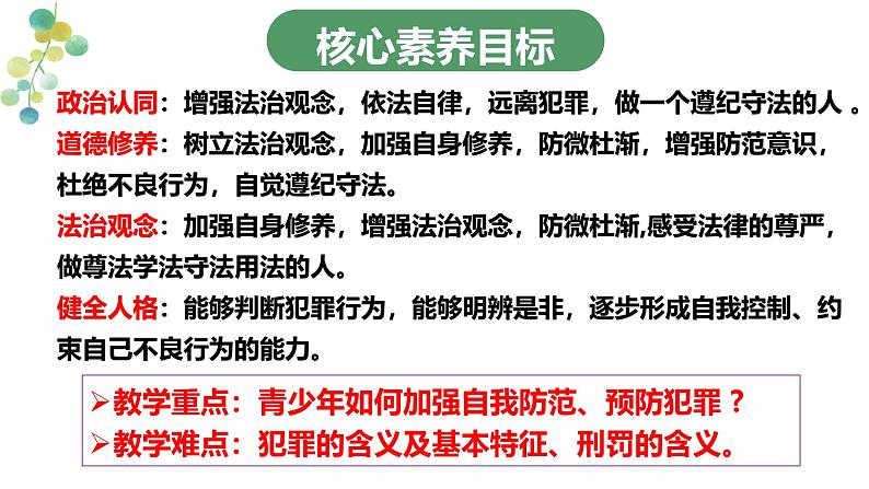 5.2  预防犯罪课件-2024-2025学年统编版道德与法治八年级上册第3页