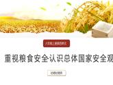 9.1认识总体国家安全观课件-2024-2025学年统编版道德与法治八年级上册