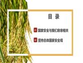 9.1认识总体国家安全观课件-2024-2025学年统编版道德与法治八年级上册