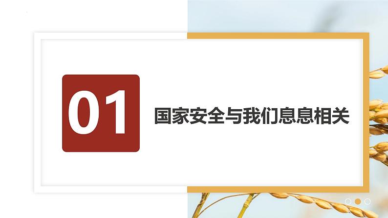 9.1认识总体国家安全观课件-2024-2025学年统编版道德与法治八年级上册第3页