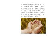 9.1认识总体国家安全观课件-2024-2025学年统编版道德与法治八年级上册