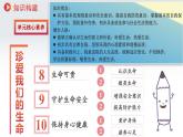 8.1认识生命（课件）-2024-2025学年统编版道德与法治七年级上册