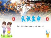 8.1认识生命（课件）-2024-2025学年统编版道德与法治七年级上册