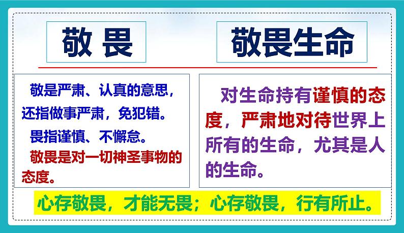 8.2 敬畏生命 课件-2024-2025学年统编版道德与法治七年级上册03