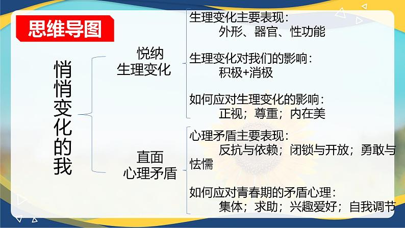 1.1悄悄变化的我 (课件＋视频）-七年级道德与法治下册（统编版）第6页