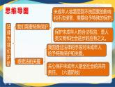 10.1法律为我们护航 (课件＋视频）-七年级道德与法治下册（人教版）