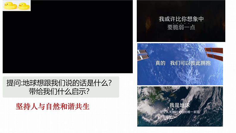 部编人教版初中道德与法治九年级上册6.2《共筑生命家园》教学课件第5页