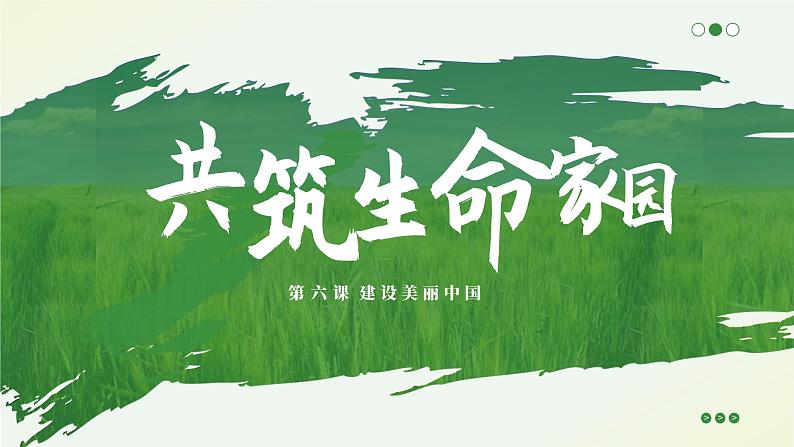 6.2 共筑生命家园  同步课件-2024-2025学年统编版道德与法治九年级上册01