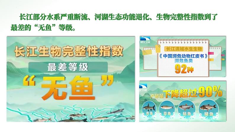 6.2 共筑生命家园  同步课件-2024-2025学年统编版道德与法治九年级上册08