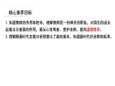 5.1 走近老师 课件(--2024-2025学年七年级道德与法治上册( 统编版2024)