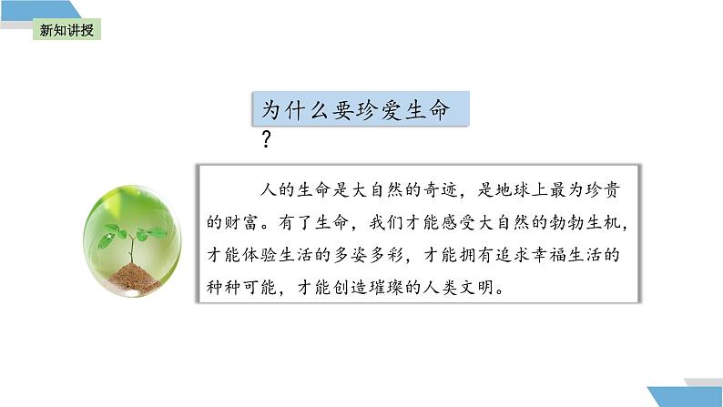 8.1 认识生命课件（内嵌视频）----2024-2025学年七年级道德与法治上册( 统编版2024)第5页