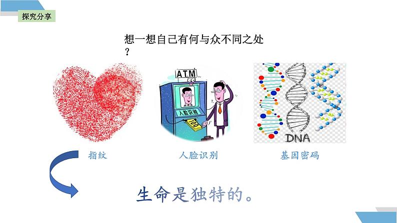 8.1 认识生命课件（内嵌视频）----2024-2025学年七年级道德与法治上册( 统编版2024)第6页