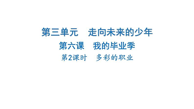 2024-2025学年道德与法治部编版九年级下册6.2 多彩的职业 课件第1页