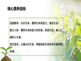 8.1 认识生命2024-2025学年部编版道德与法治七年级上册课件