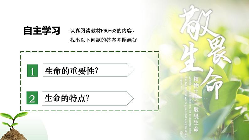 8.1 认识生命2024-2025学年部编版道德与法治七年级上册课件第3页