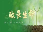 8.2 敬畏生命2024-2025學年部編版道德與法治七年級上冊課件