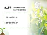 8.2 敬畏生命2024-2025學年部編版道德與法治七年級上冊課件