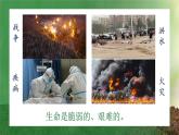 8.2 敬畏生命2024-2025學年部編版道德與法治七年級上冊課件