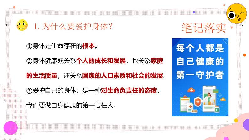 10.1 爱护身体2024-2025学年部编版道德与法治七年级上册课件04