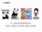 1.1 我与社会 2024-2025学年部编版道德与法治八年级上册课件