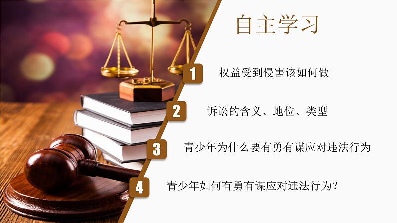 5.3 善用法律 2024-2025学年部编版道德与法治八年级上册课件第3页