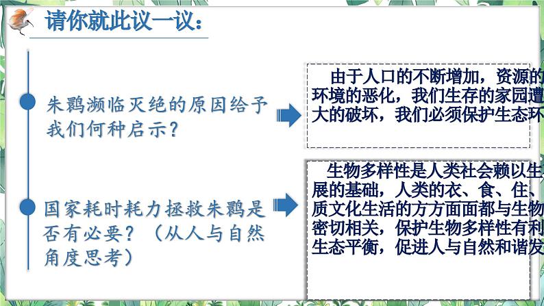 6.2 共筑生命家园 2024-2025学年部编版道德与法治九年级上册课件第7页