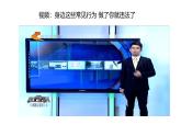 5.1 法不可违 2024-2025学年部编版道德与法治八年级上册课件