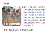 5.1 法不可违 2024-2025学年部编版道德与法治八年级上册课件