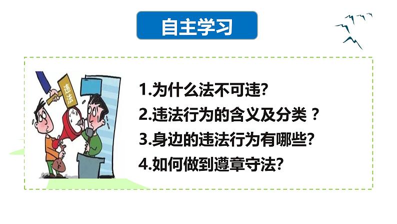 5.1 法不可违 2024-2025学年部编版道德与法治八年级上册课件第6页