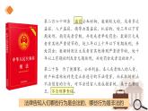 5.1 法不可违  2024-2025学年部编版道德与法治八年级上册课件