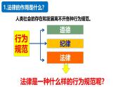 5.1 法不可违 2024-2025学年部编版道德与法治八年级上册课件