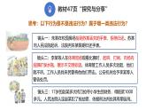 5.1 法不可违 2024-2025学年部编版道德与法治八年级上册课件