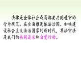 2024秋人教版道德与法治八年级上册5.1 法不可违课件新教材